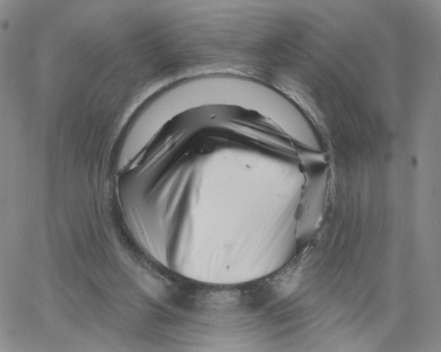 X0000064720156200603131237