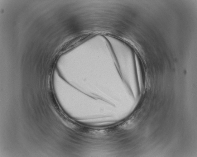 X0000064720157200603131237