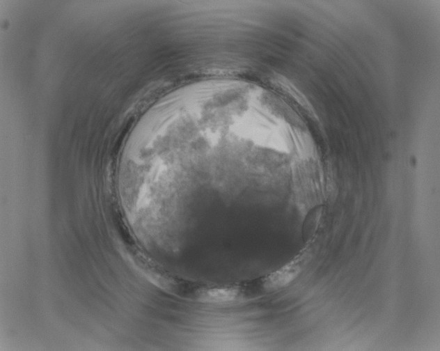 X0000064720163200603131237