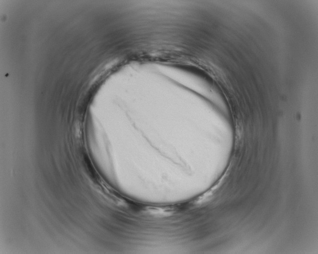 X0000064720166200603131237
