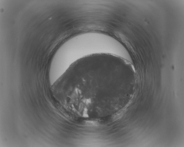 X0000064720167200603131237