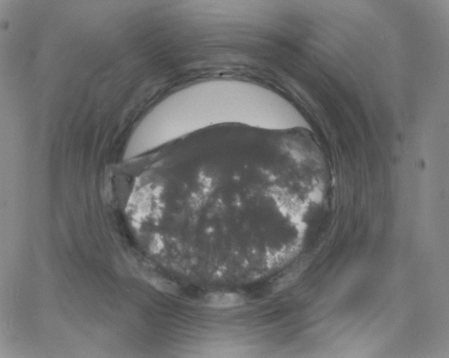 X0000064720169200603131237