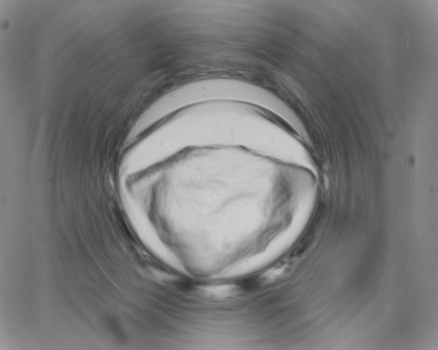 X0000064720173200603131237