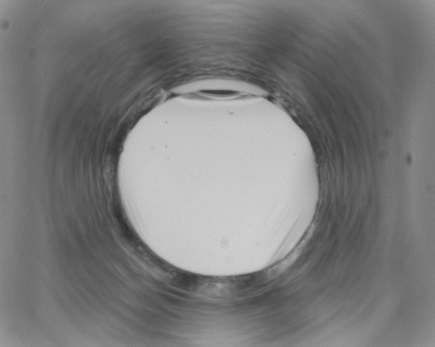 X0000064720174200603131237