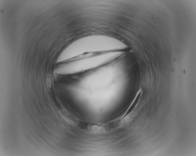 X0000064720180200603131237