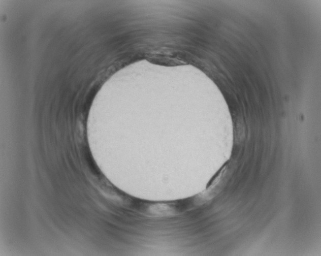 X0000064720183200603131237