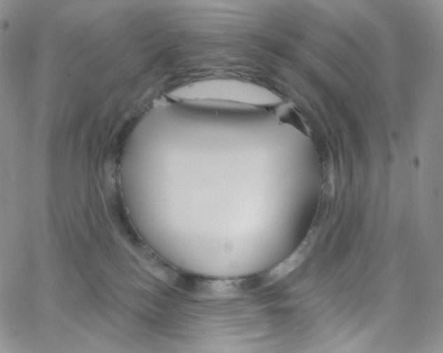 X0000064720184200603131237