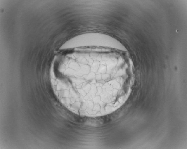 X0000064720185200603131237