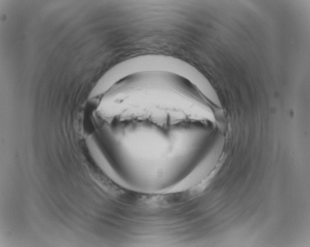 X0000064720186200603131237