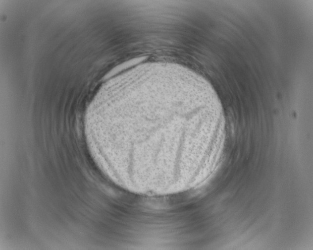 X0000064720187200603131237