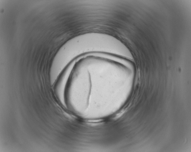 X0000064720189200603131237
