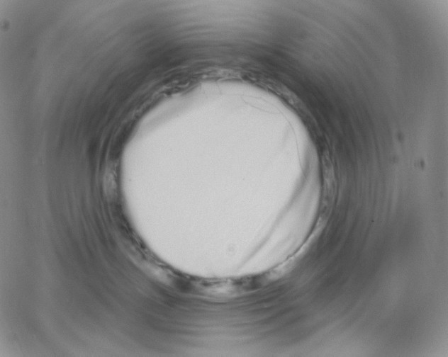 X0000064720191200603131237