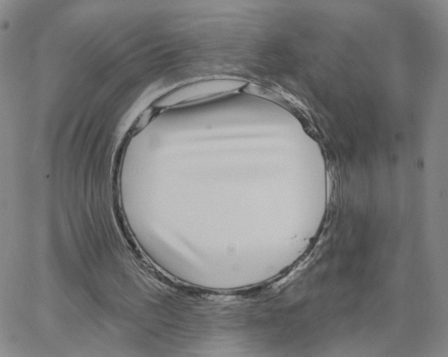 X0000064720195200603131236