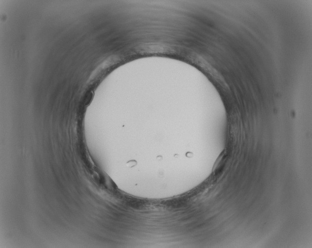 X0000064720207200603131236