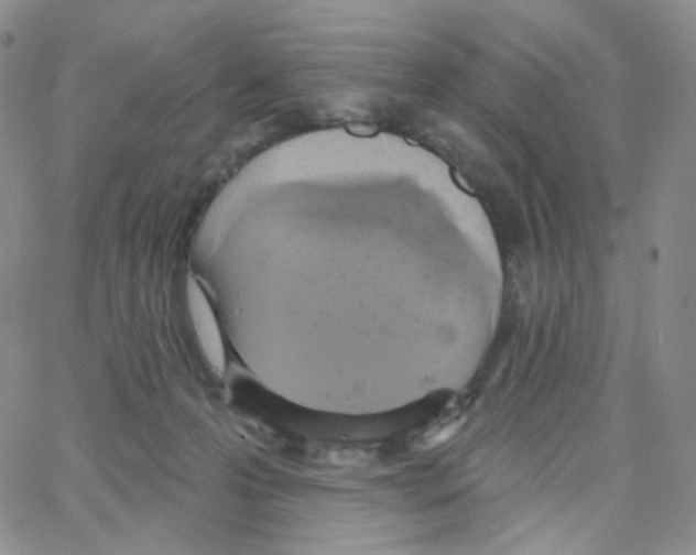 X0000064720223200603131236