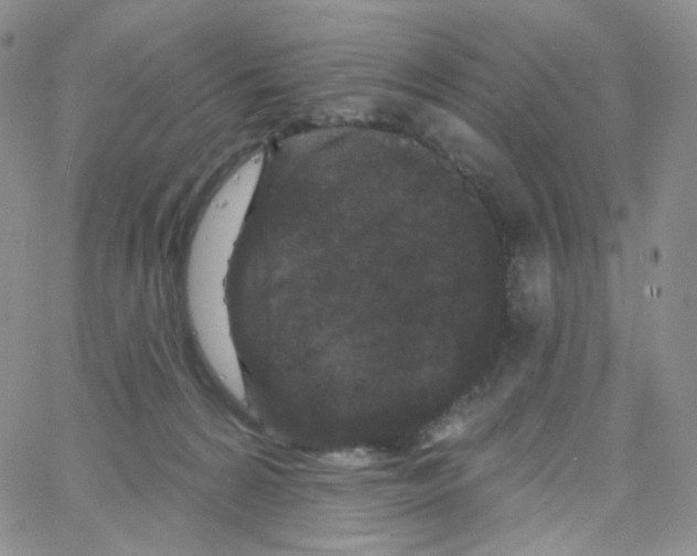 X0000064720224200603131236