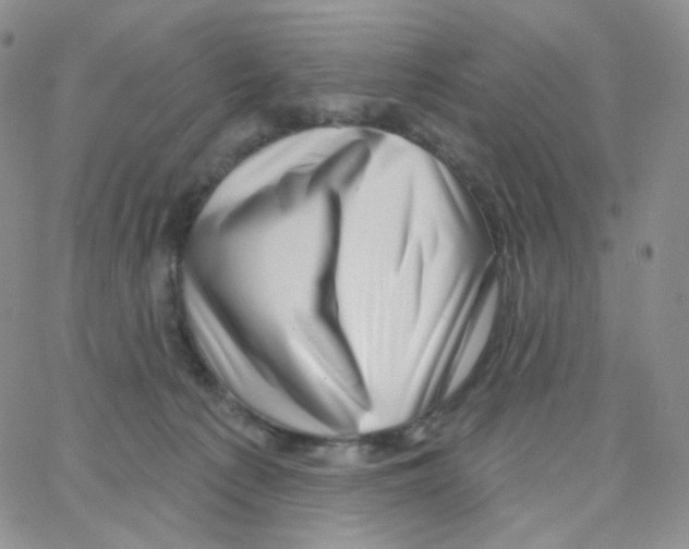 X0000064720225200603131236