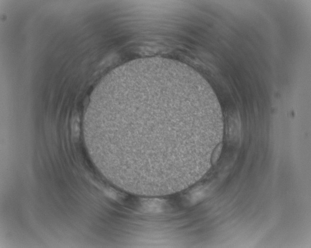 X0000064720226200603131236