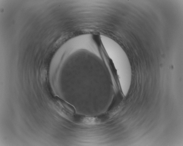 X0000064720227200603131236