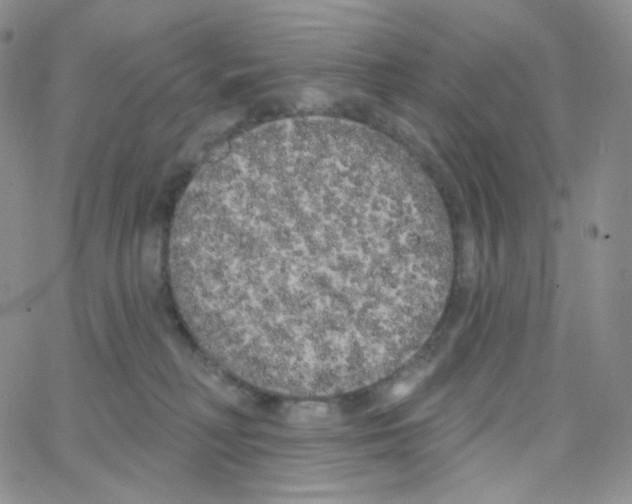 X0000064720230200603131236