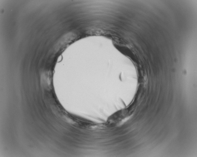 X0000064720232200603131236