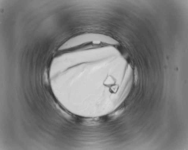 X0000064720238200603131236