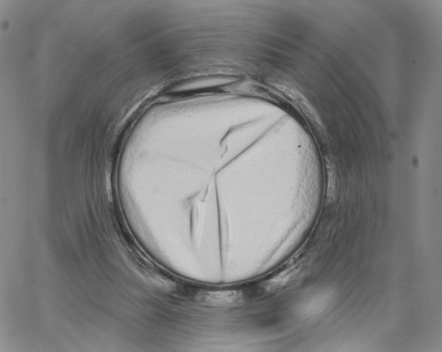 X0000064720251200603131235