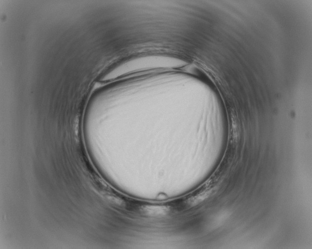 X0000064720255200603131235