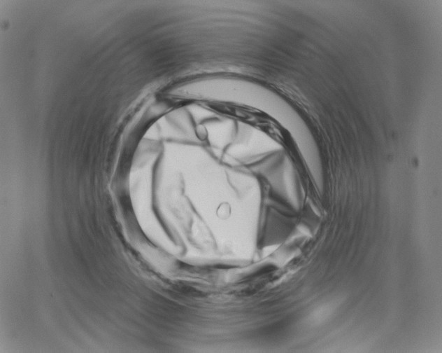 X0000064720256200603131235