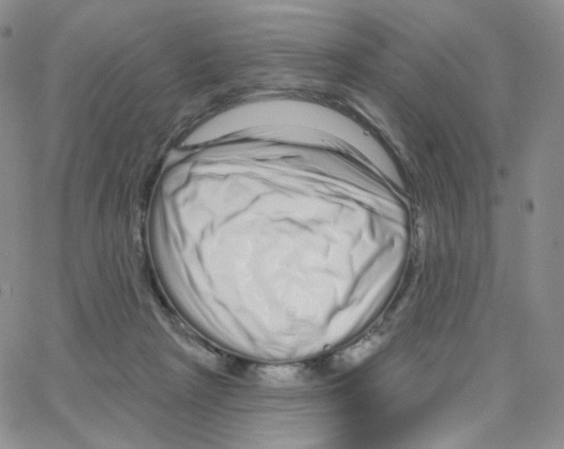 X0000064720265200603131235