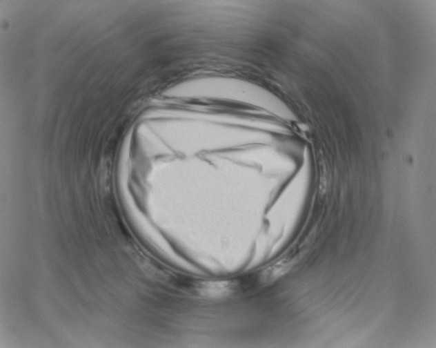 X0000064720273200603131235