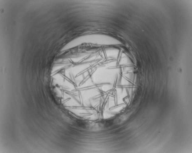 X0000064720277200603131235