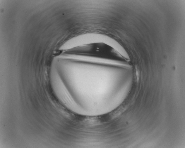 X0000064720280200603131236