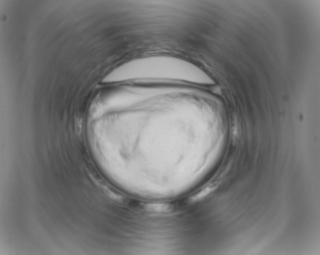 X0000064720281200603131236