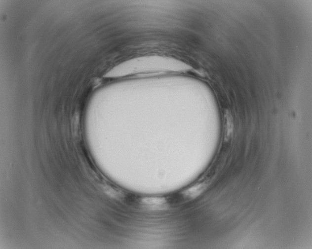 X0000064720283200603131236