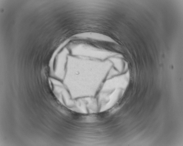 X0000064720286200603131236