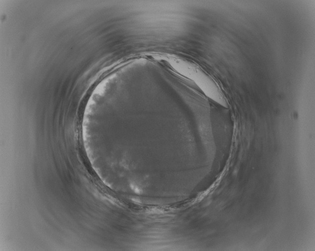 X0000064720290200603131235