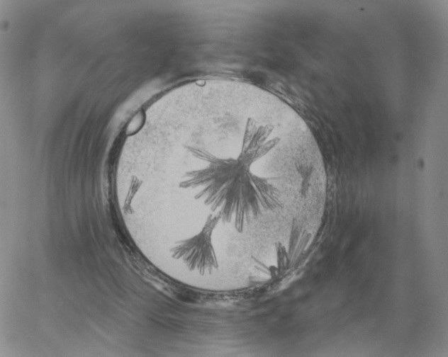 X0000064720294200603131235
