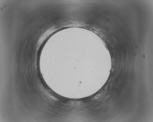 X0000064720296200603131235