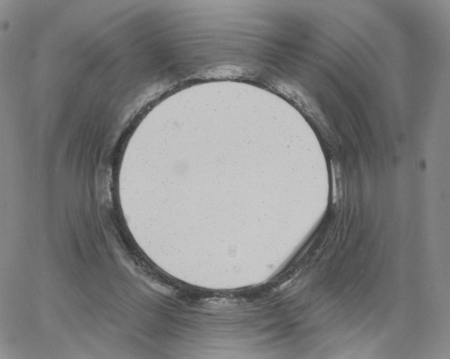 X0000064720300200603131235