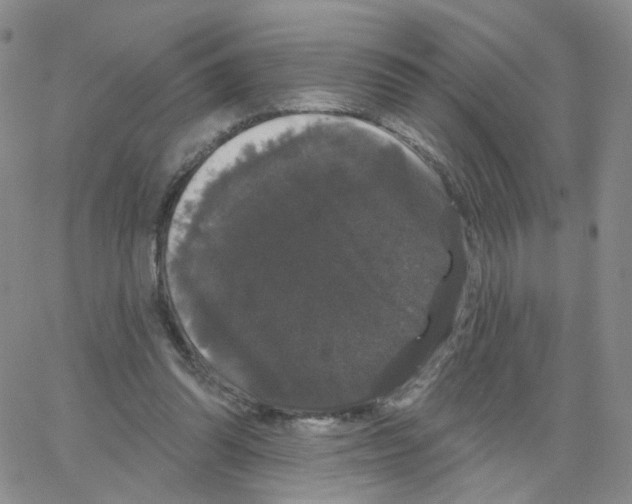 X0000064720302200603131235