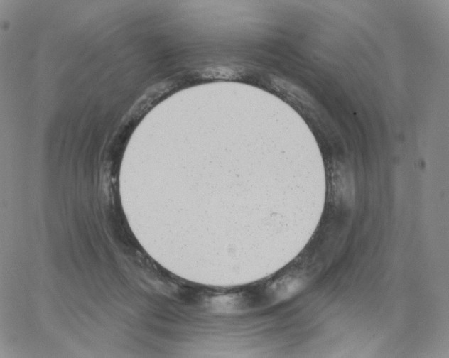 X0000064720312200603131234