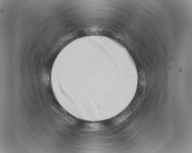 X0000064720324200603131234