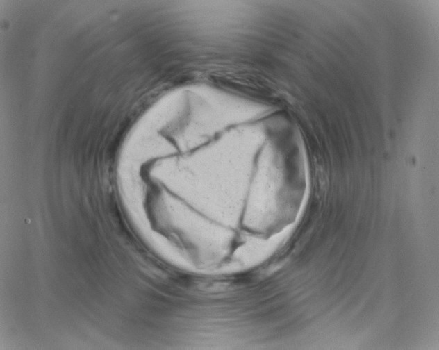 X0000064720331200603131234