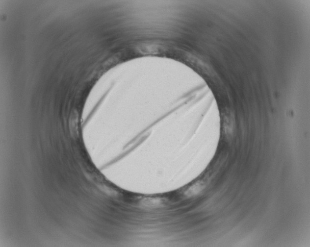 X0000064720332200603131234