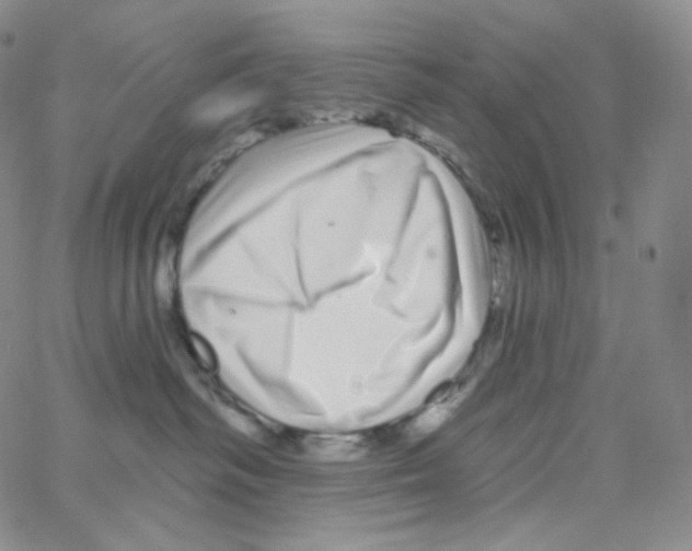 X0000064720334200603131234