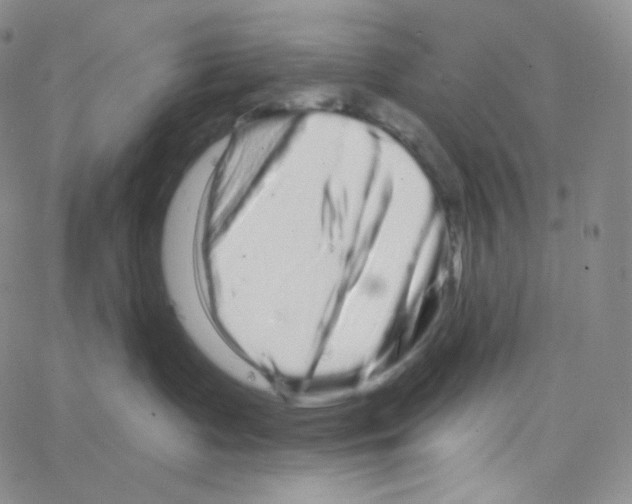 X0000064720335200603131234