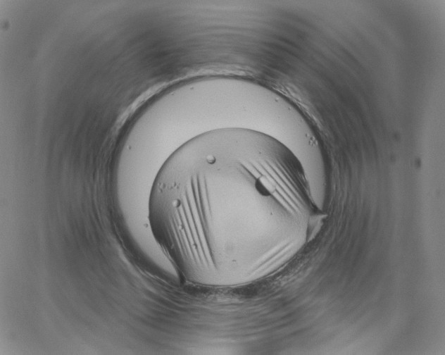 X0000064720348200603131233