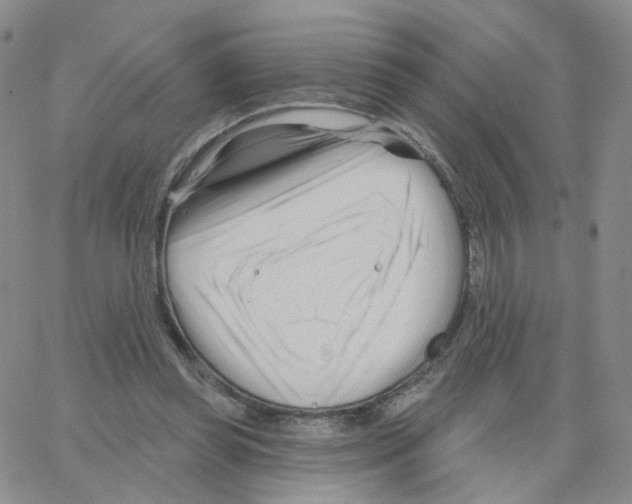 X0000064720349200603131233