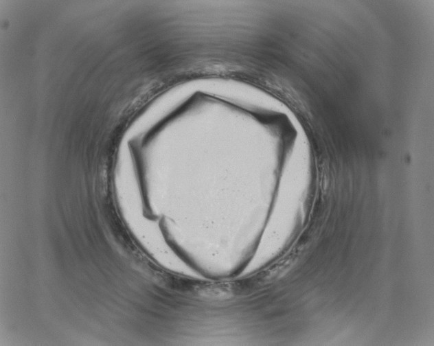 X0000064720358200603131234